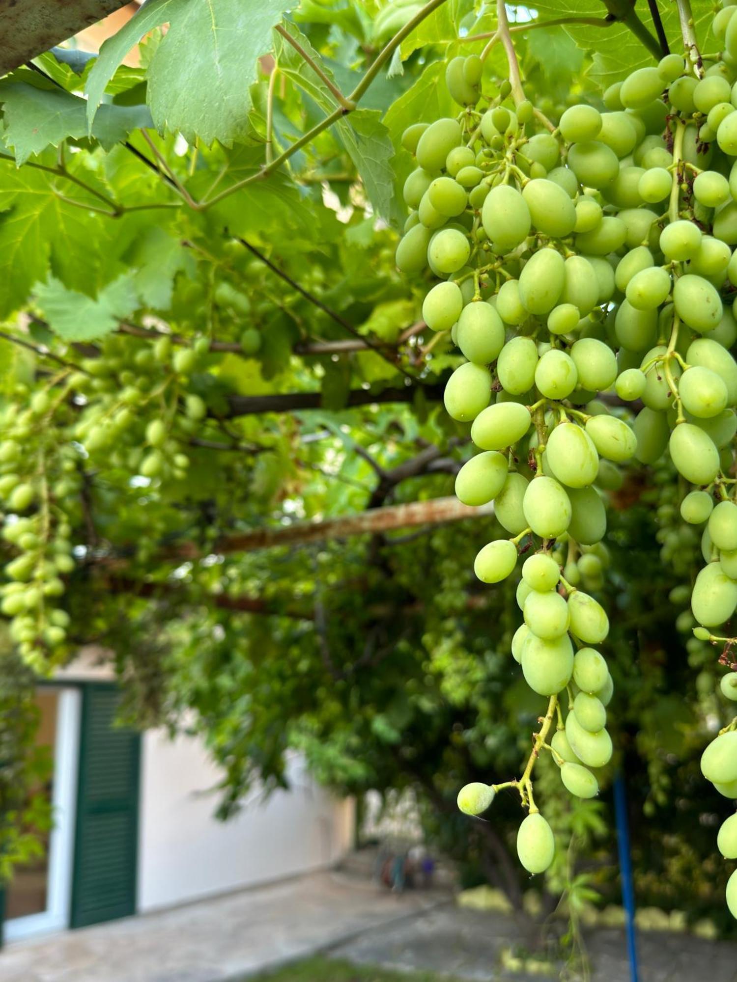 Valentinas Garden Διαμέρισμα Σπλιτ Εξωτερικό φωτογραφία