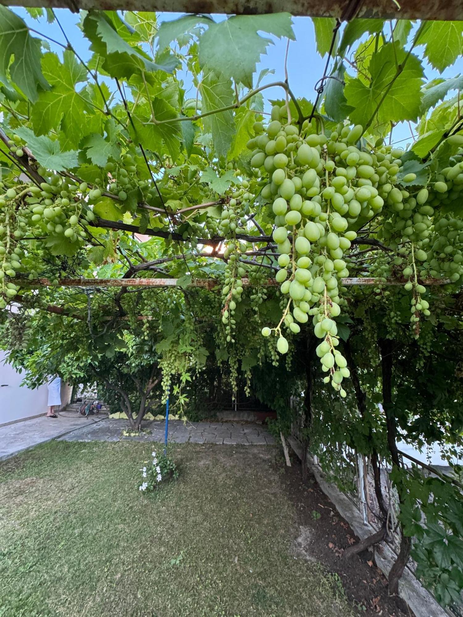 Valentinas Garden Διαμέρισμα Σπλιτ Εξωτερικό φωτογραφία